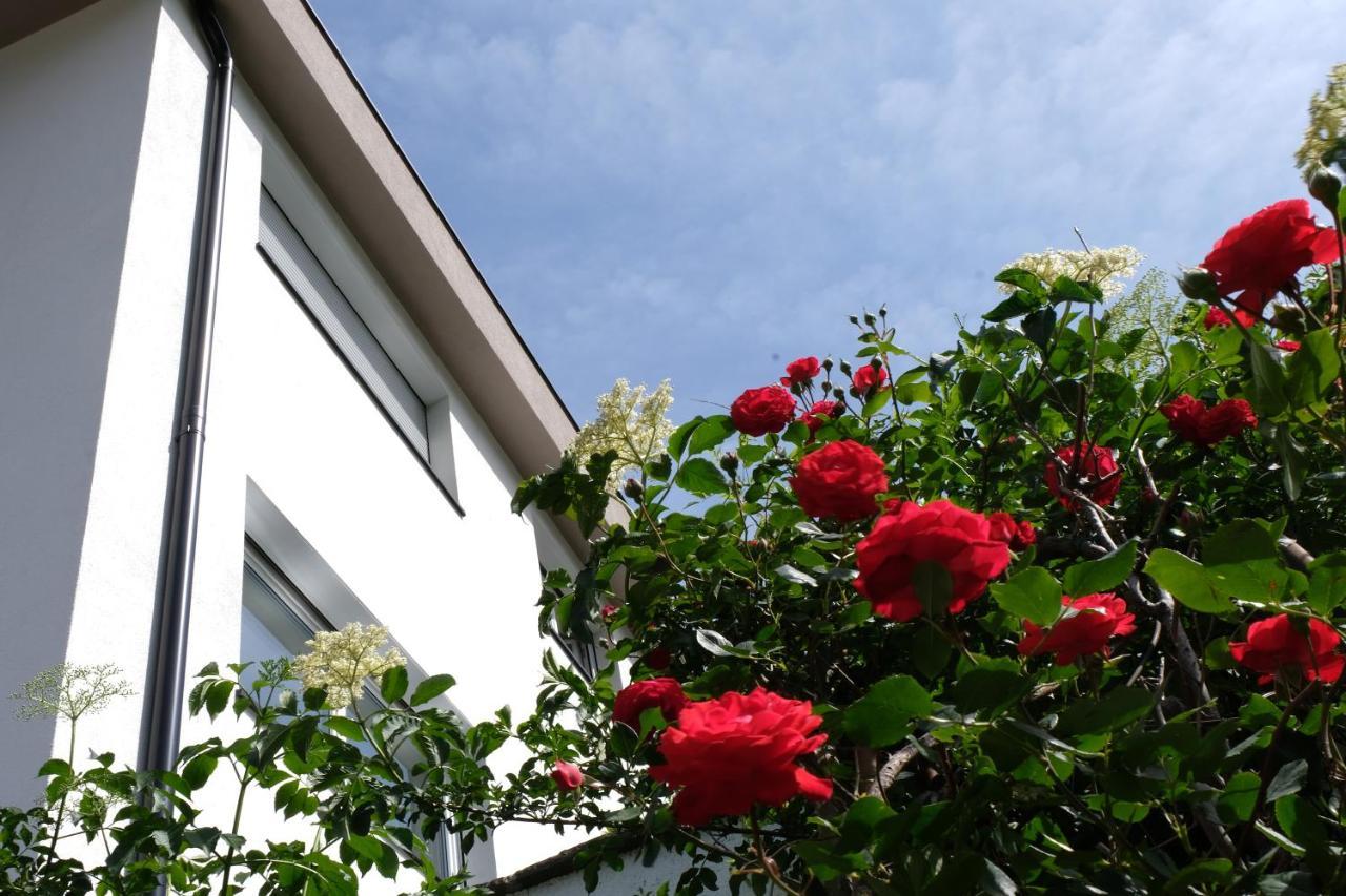 Apartment Le Rose Di Marianne - Ovest Vahrn Buitenkant foto